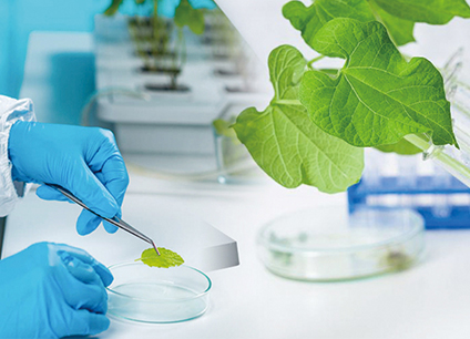 科研創新平臺